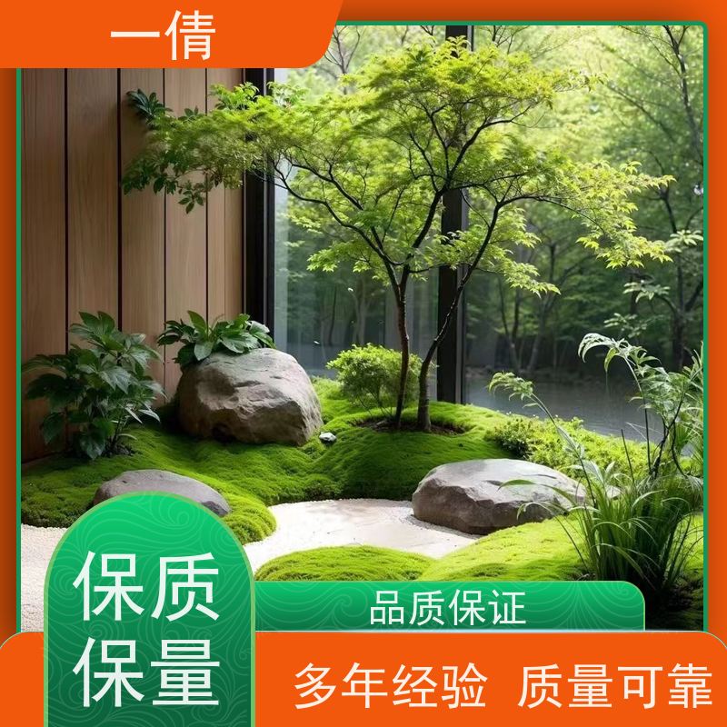 一倩花卉 前台 橙蝴蝶兰 花卉租赁 种类繁多 规格齐全