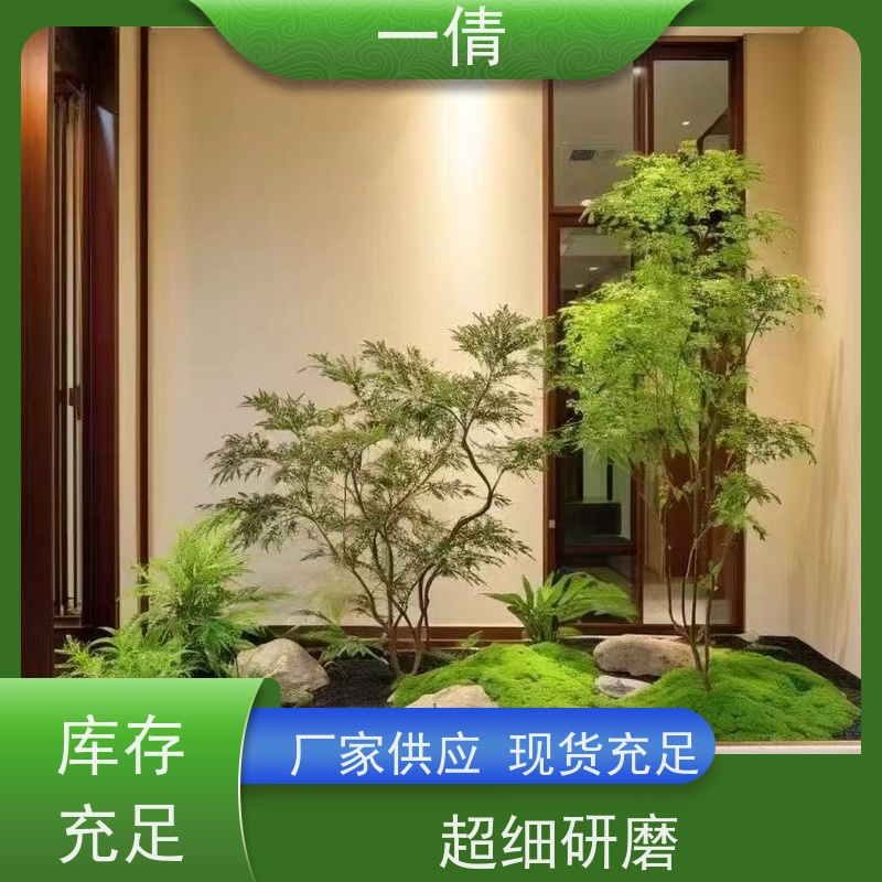 一倩花卉 前台 小罗汉松 花卉租赁 种类繁多 规格齐全