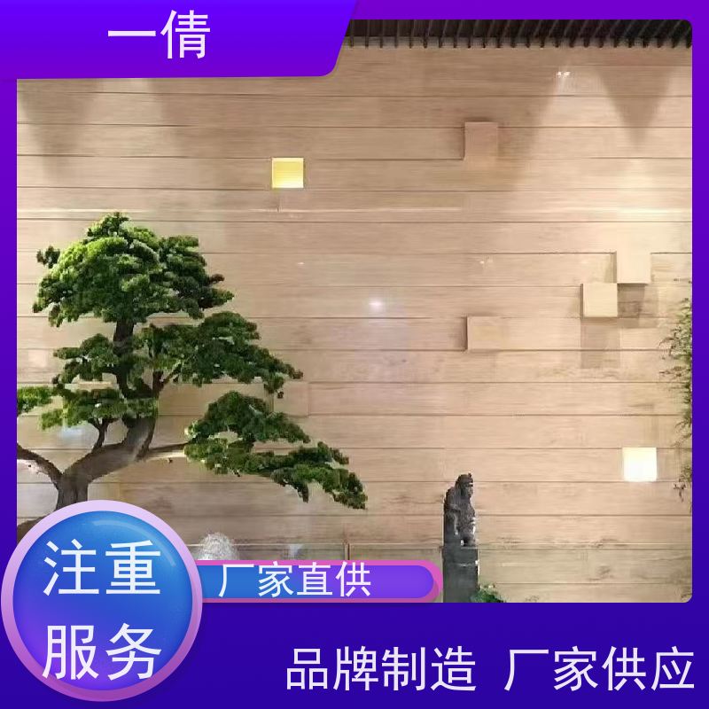 一倩花卉 深圳 平安树 室内植物出租 桌面绿植 花木护理