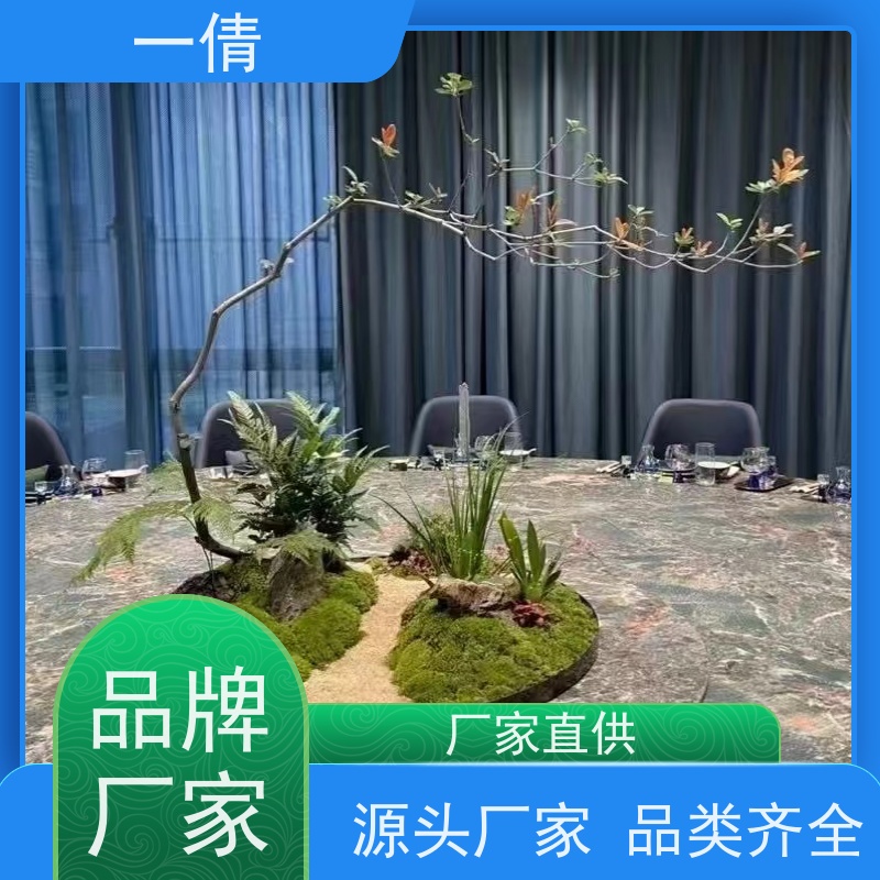 一倩花卉 室内 苹果树 绿植出售 全城配送 上门养护