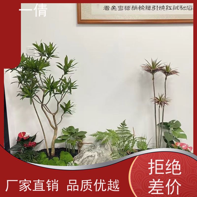 一倩花卉 室内 树厥 花卉租赁 种类繁多 规格齐全