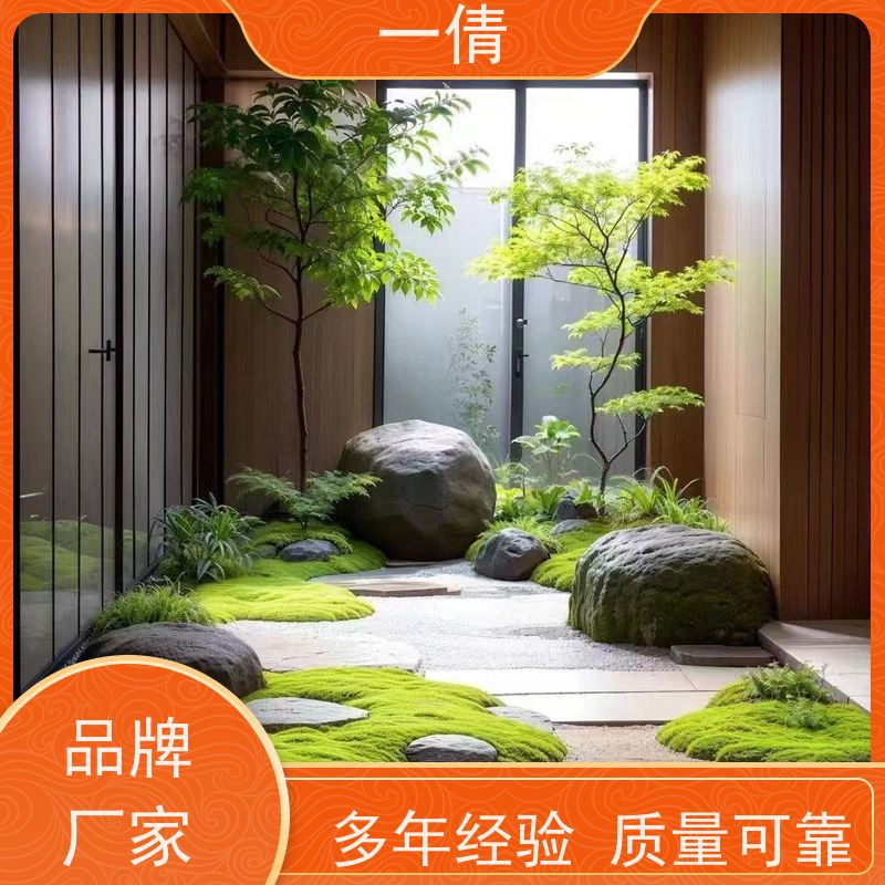 一倩花卉 办公室 虎尾兰 室内植物出租 桌面绿植 花木护理