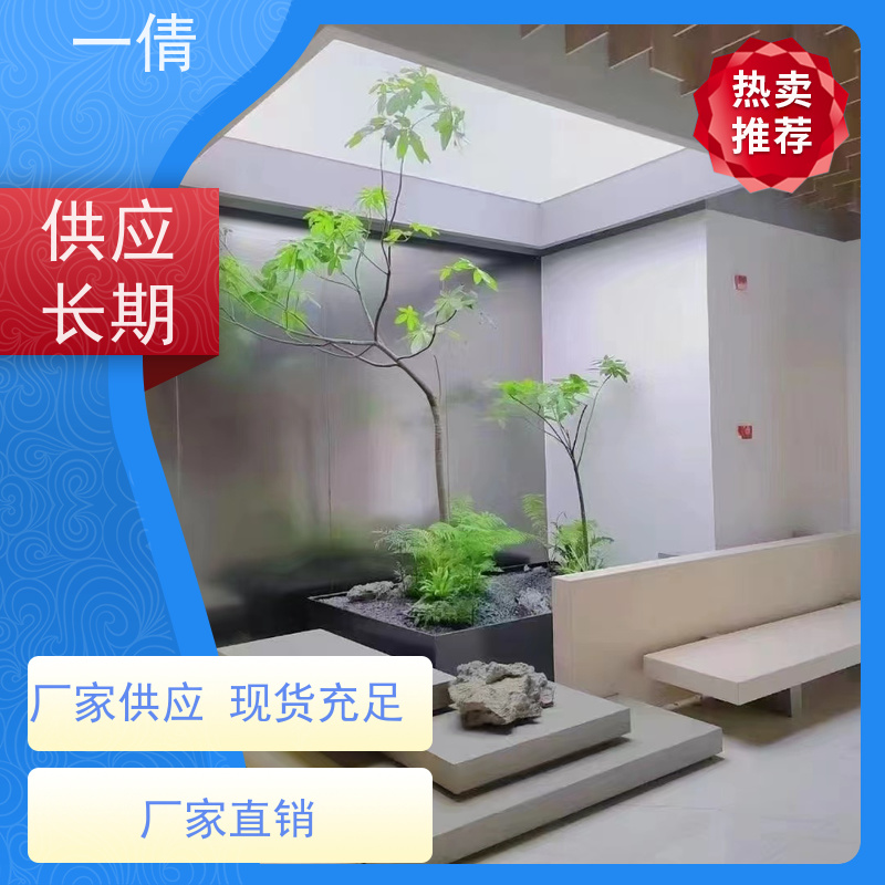 一倩花卉 办公室 小仙女海芋 花卉租赁 种类繁多 规格齐全