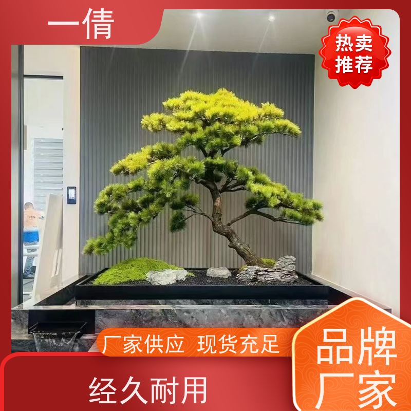 一倩花卉 办公室 百合竹 花卉租赁 桌面绿植 花木护理