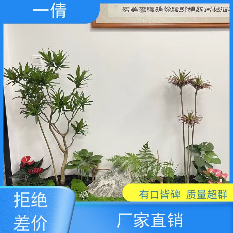 一倩花卉 前台 春雨 室内植物出租 全城配送 上门养护