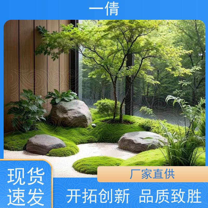 一倩花卉 深圳 琴叶榕 绿植租摆 全城配送 上门养护
