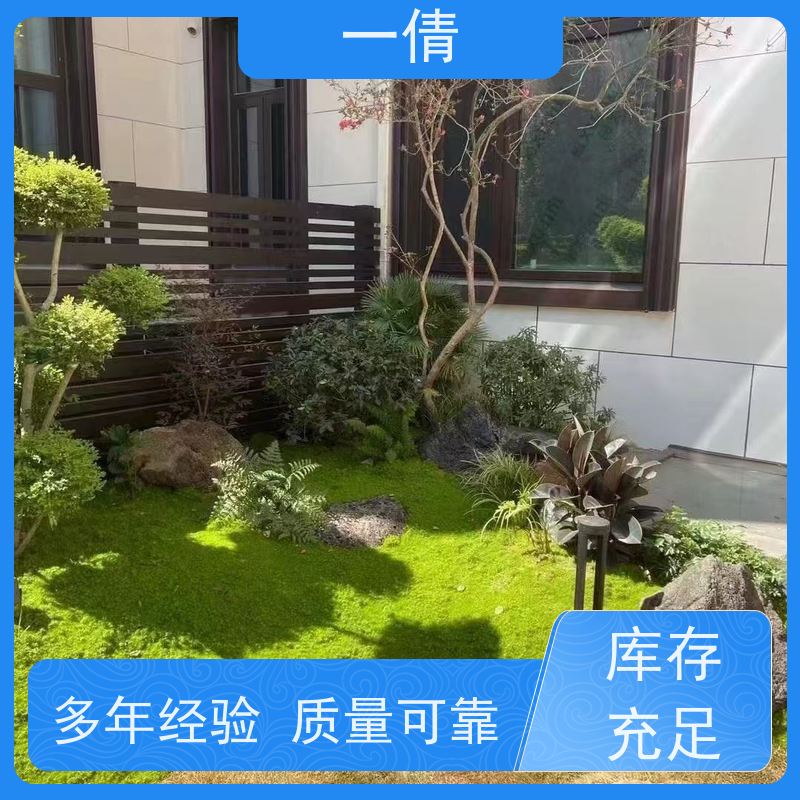 一倩花卉 前台 袖珍椰子 绿植租摆 全城配送 上门养护