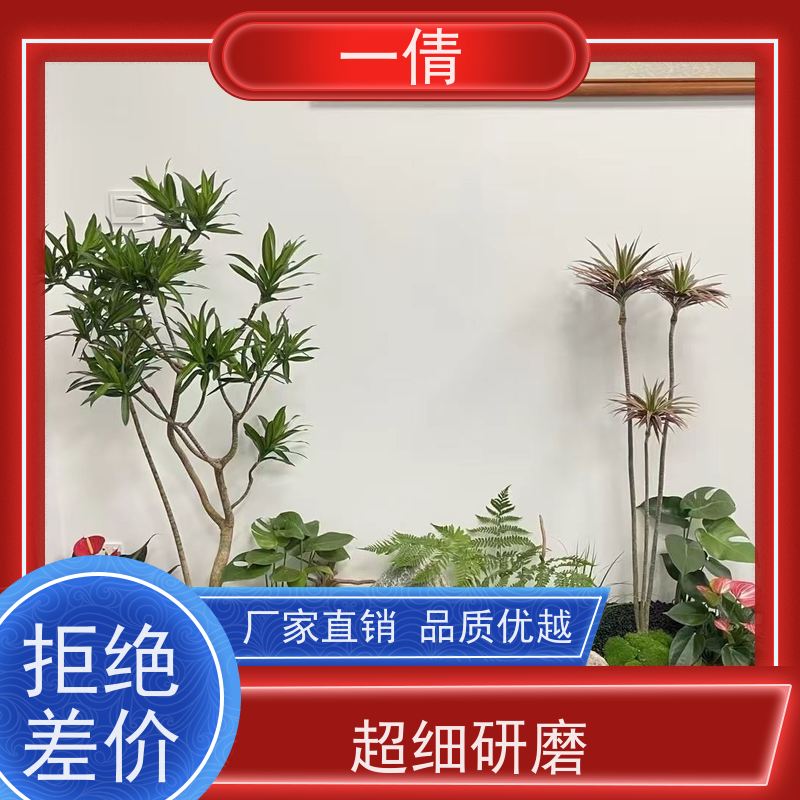 一倩花卉 办公室 袖珍椰子 开业花篮租赁 全城配送 上门养护