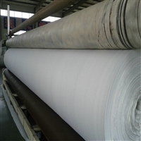 辽宁400克PET土工布养护