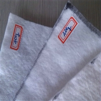 重庆450克长丝土工布聚酯