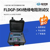 FLDGP-5KV绝缘电阻测试仪