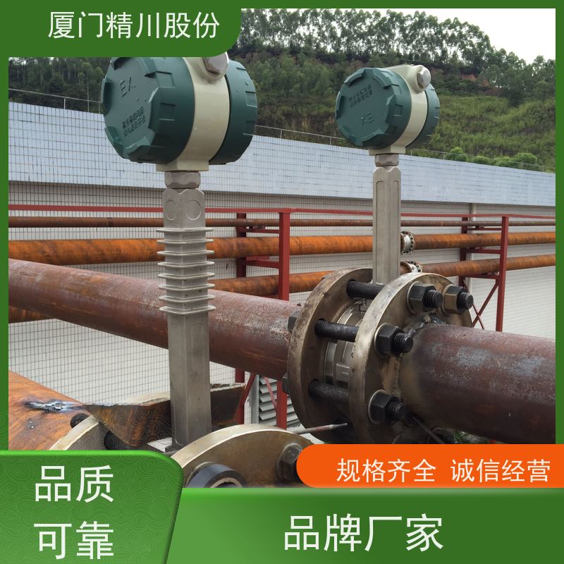精川股份 合成革厂 导热油流量计 精度高 现场案例多