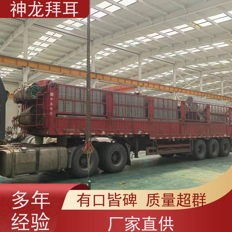 河北神龙拜耳 光伏支架打孔机 高性能 多少钱