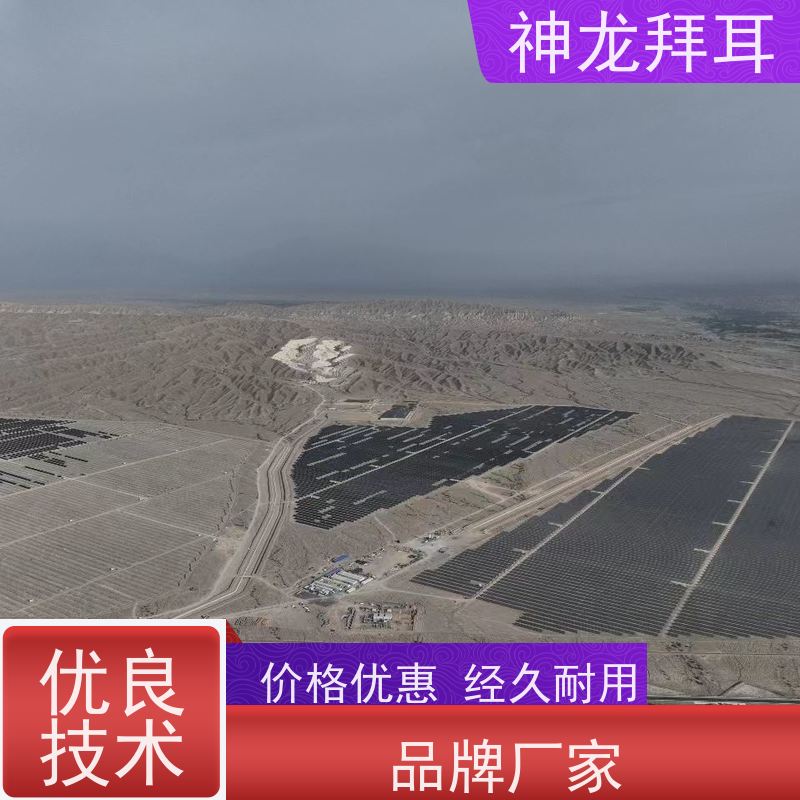 神龙拜耳 光伏支架成型机 精准 厂