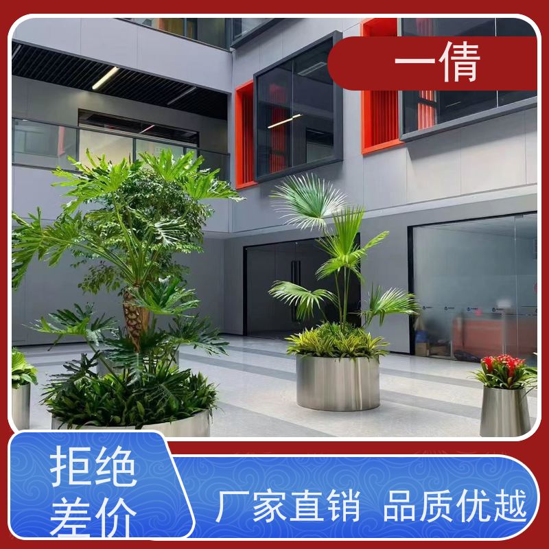 一倩花卉 室内 绿巨人 绿植租赁 全城配送 上门养护
