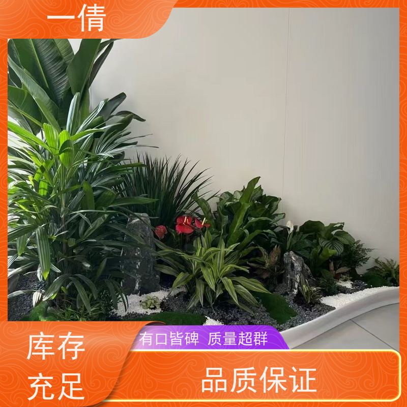 一倩花卉 办公室 小琴叶榕 室内植物出租 净化空气