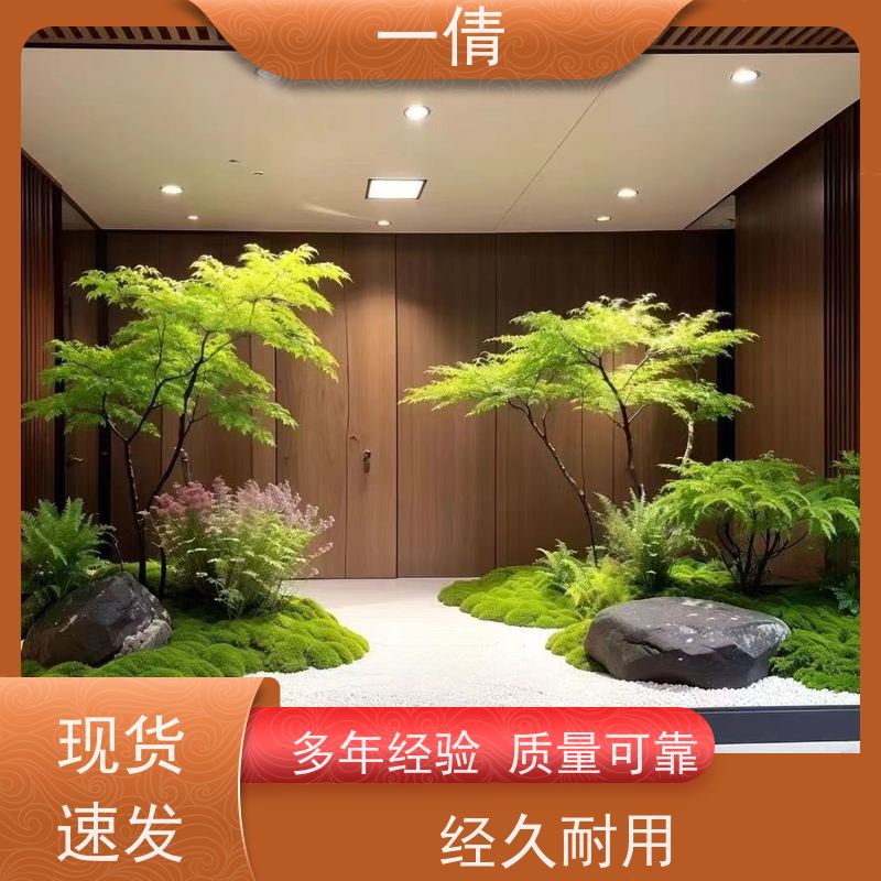一倩花卉 深圳 三杆发财树 绿植租赁 全城配送 上门养护
