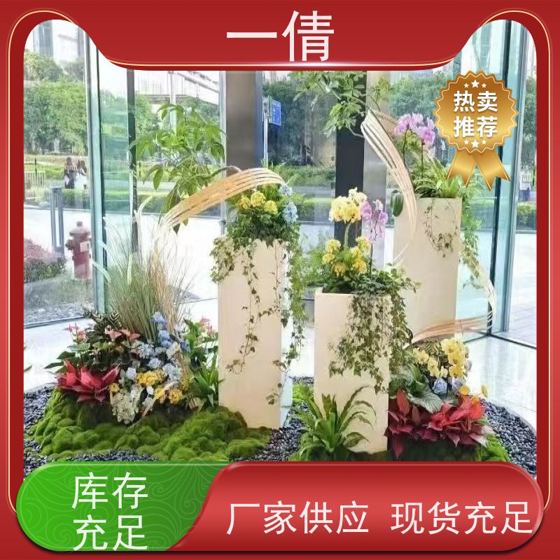 一倩花卉 深圳 七彩铁 绿植租摆 种类繁多 规格齐全