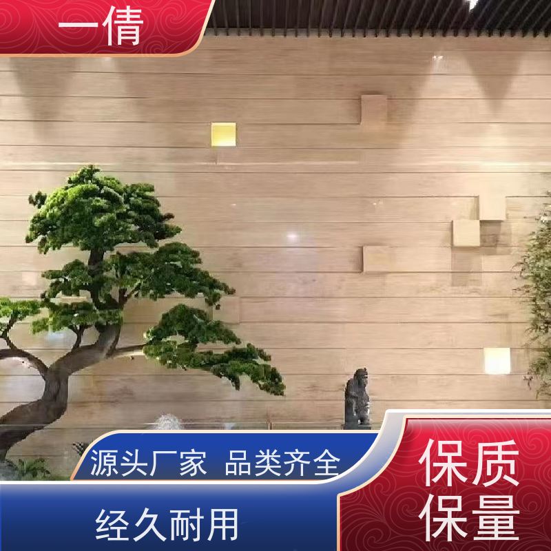 一倩花卉 室内 苹果树 室内植物出租 桌面绿植 花木护理