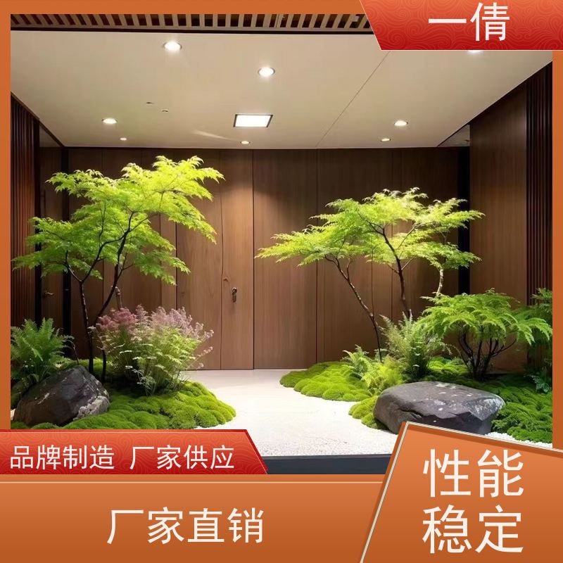 一倩花卉 室内 墨兰 花卉租赁 桌面绿植 花木护理