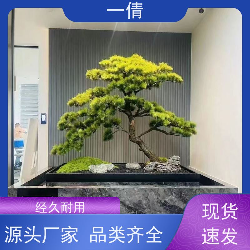 一倩花卉 前台 袖珍椰子 绿植租摆 种类繁多 规格齐全