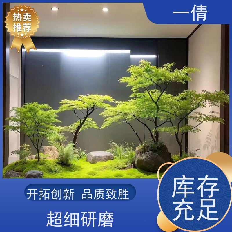 一倩花卉 前台 虎尾兰 花卉租赁 种类繁多 规格齐全