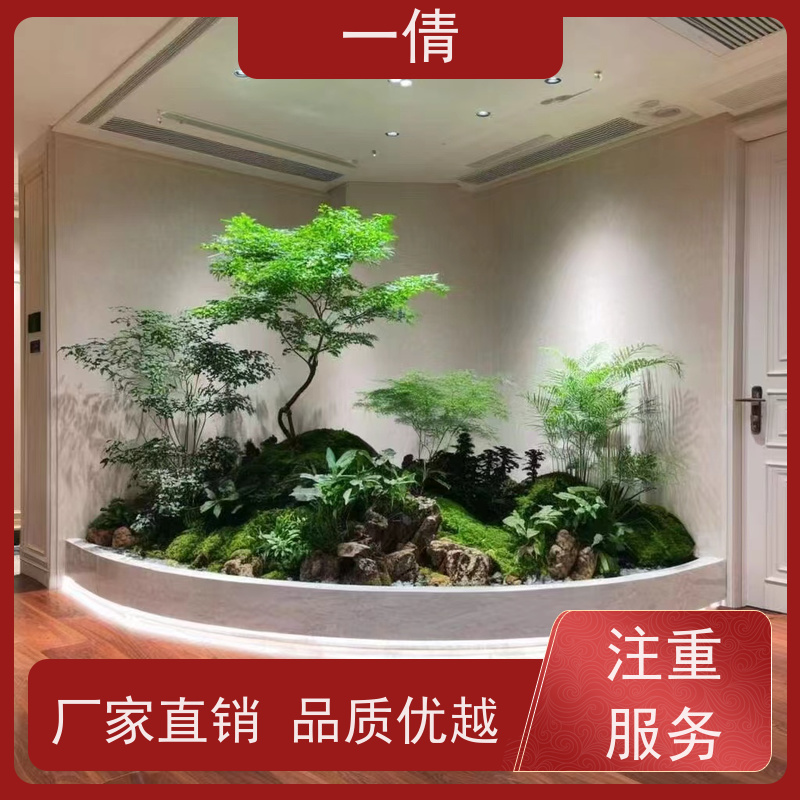 一倩花卉 办公室 金钱树 花卉租赁 种类繁多 规格齐全