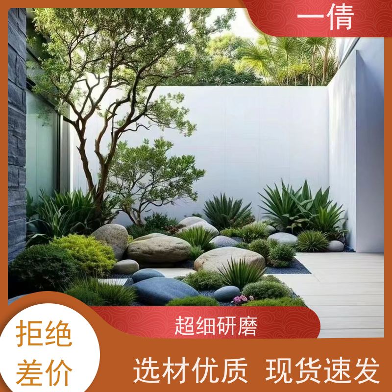 一倩花卉 深圳 金钻 绿植租摆 全城配送 上门养护