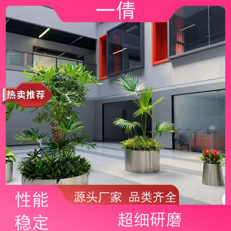 一倩花卉 办公室 碧玉 开业花篮租赁 全城配送 上门养护
