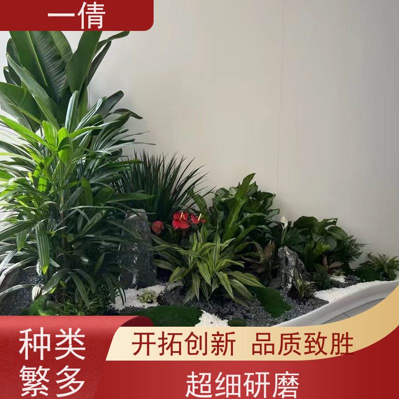 一倩花卉 办公室 70盆四季桔 绿植租赁 净化空气