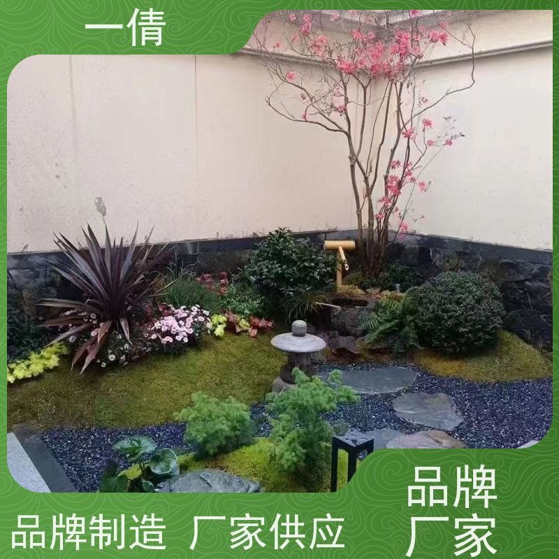 一倩花卉 前台 爱心榕 花卉租赁 种类繁多 规格齐全