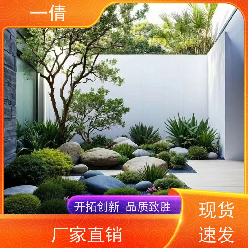 一倩花卉 室内 白掌 绿植租赁 桌面绿植 花木护理