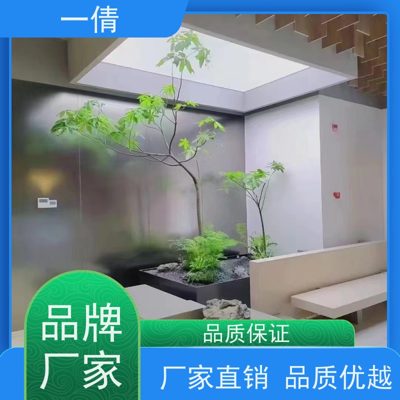 一倩花卉 室内 苹果树 开业花篮租赁 桌面绿植 花木护理