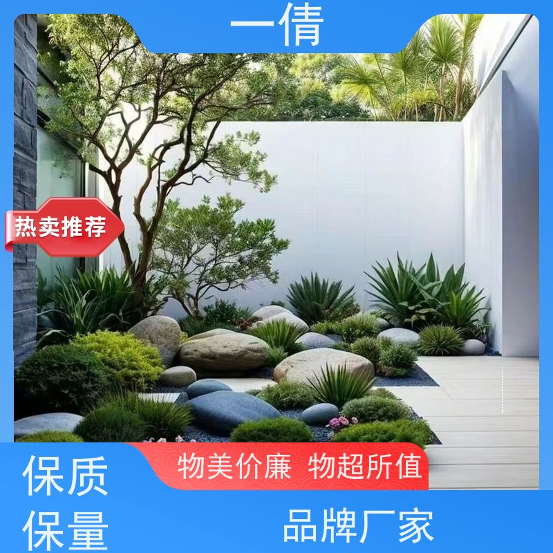 一倩花卉 前台 60盆四季桔 绿植租摆 全城配送 上门养护