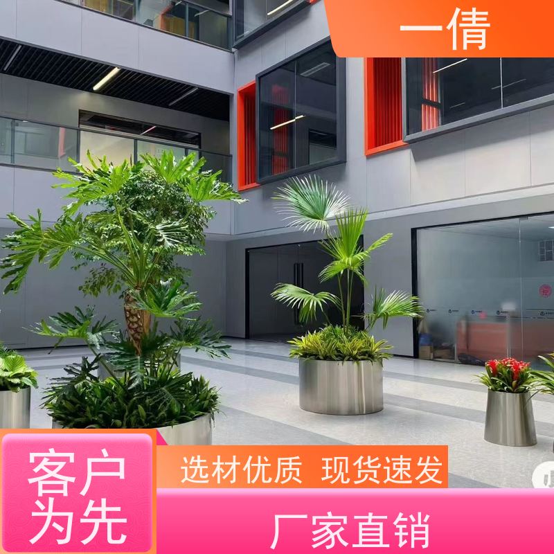 一倩花卉 室内 造型螺纹铁 室内植物出租 桌面绿植 花木护理