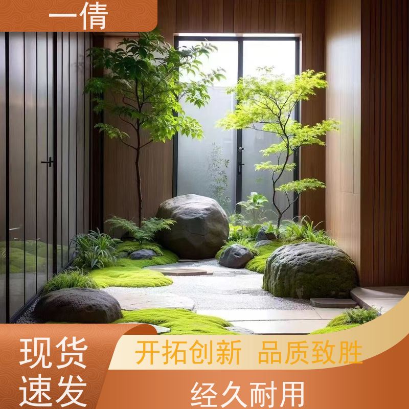 一倩花卉 深圳 小琴叶榕 绿植出售 全城配送 上门养护