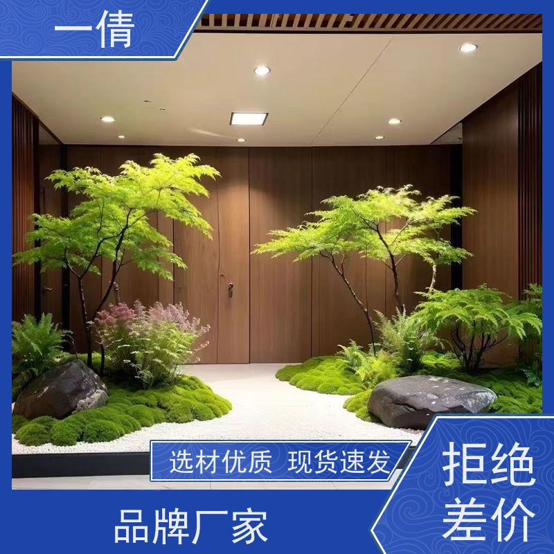 一倩花卉 室内 组合花镜 花卉租赁 桌面绿植 花木护理