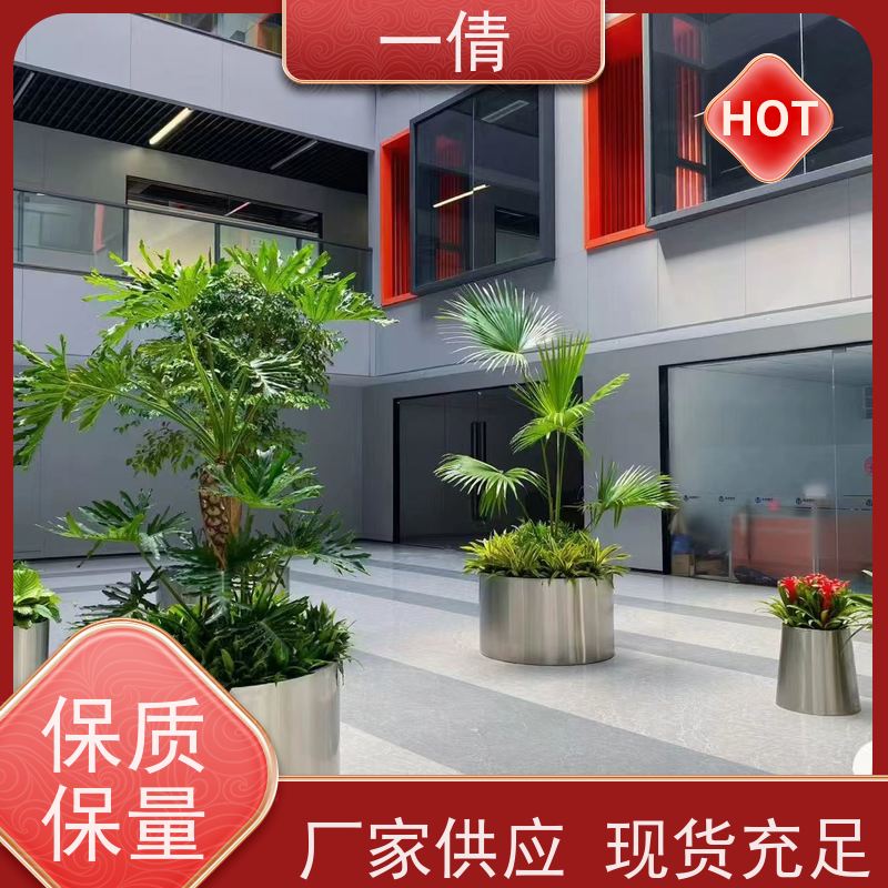 一倩花卉 办公室 苹果树 绿植租摆 种类繁多 规格齐全