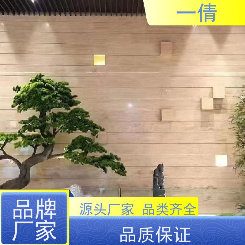 一倩花卉 深圳 小琴叶榕 花卉租赁 全城配送 上门养护