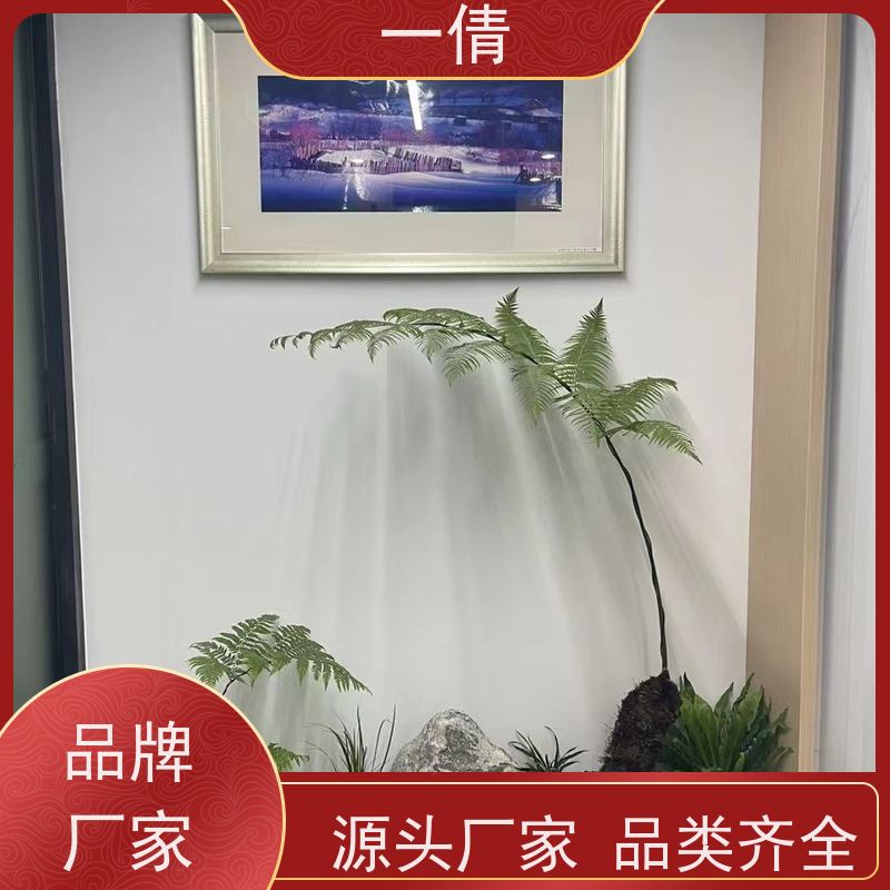 一倩花卉 办公室 树厥 绿植出售 桌面绿植 花木护理