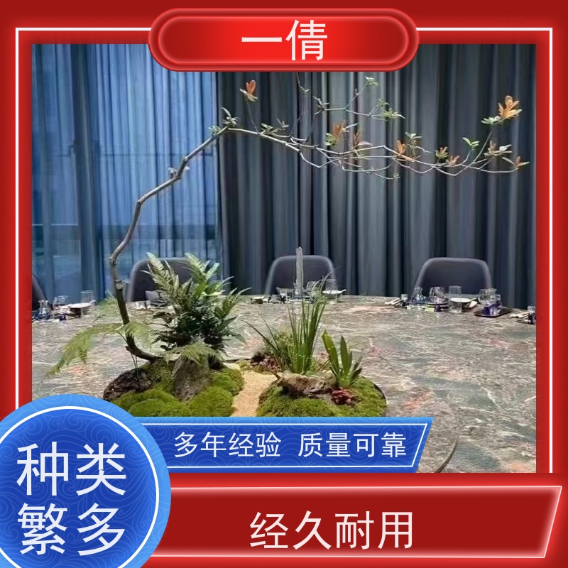 一倩花卉 室内 碧玉 花卉租赁 桌面绿植 花木护理