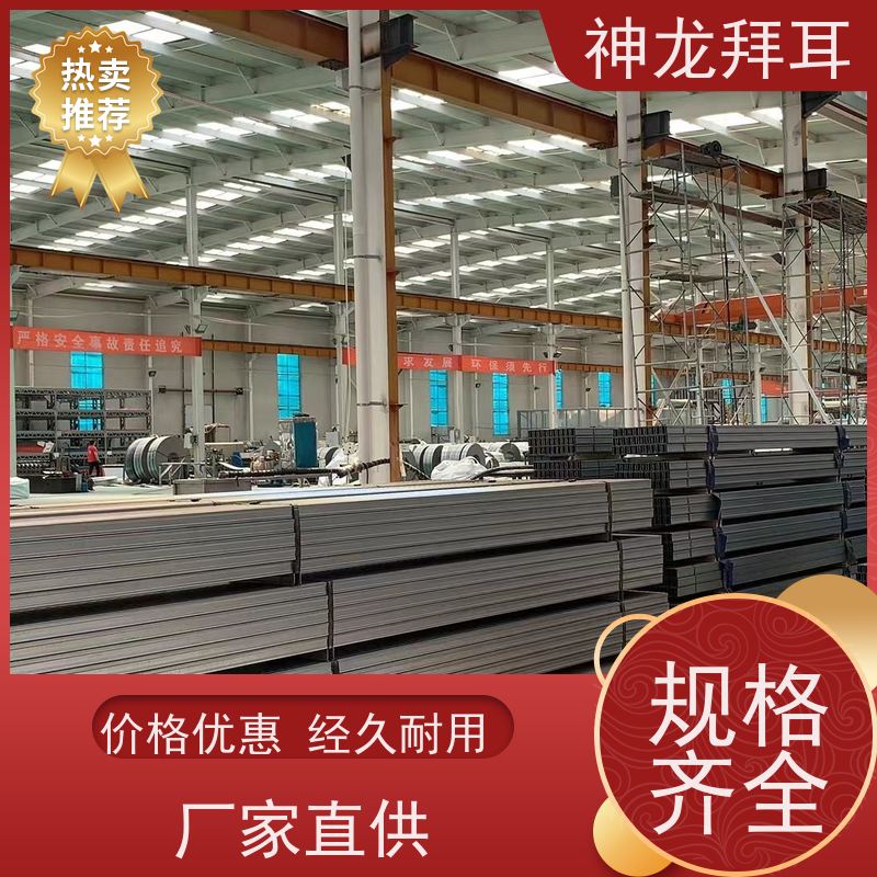 河北神龙拜耳 安装光伏支架 高性能 品牌