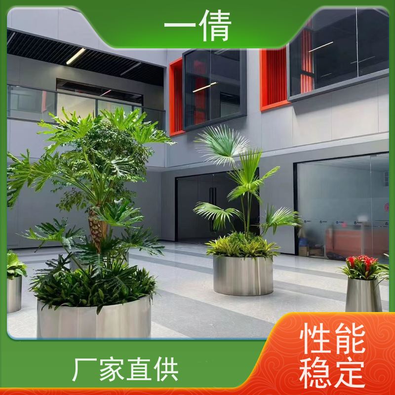 一倩花卉 深圳 虎尾兰 室内植物出租 桌面绿植 花木护理