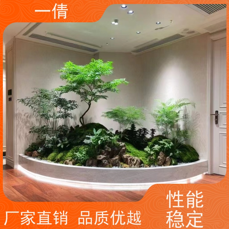 一倩花卉 办公室 小仙女海芋 绿植租赁 全城配送 上门养护