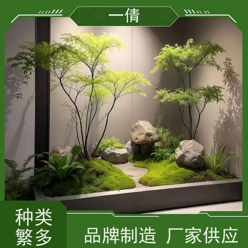 一倩花卉 前台 琴叶榕 花卉租赁 桌面绿植 花木护理