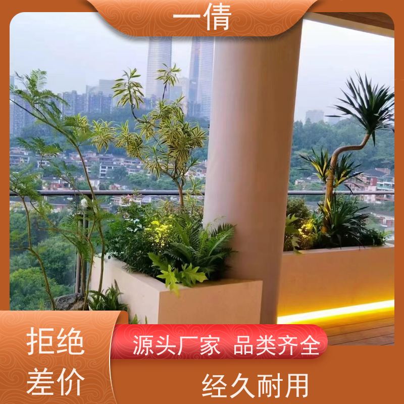 一倩花卉 前台 金心铁 花卉租赁 种类繁多 规格齐全