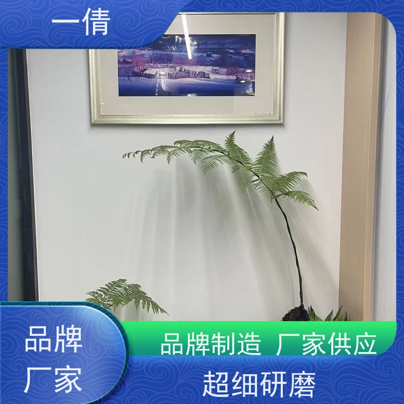 一倩花卉 室内 夏威夷竹 绿植租赁 种类繁多 规格齐全