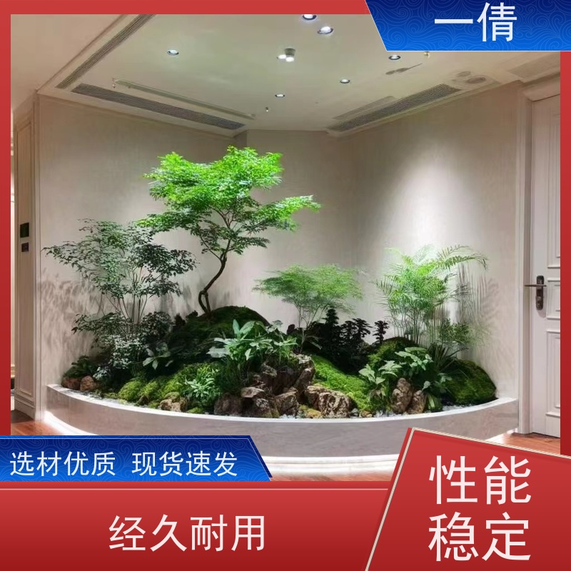 一倩花卉 深圳 平安树 绿植租赁 桌面绿植 花木护理