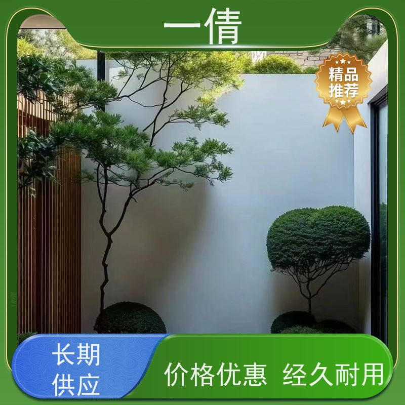 一倩花卉 前台 红玉珠 绿植租赁 全城配送 上门养护