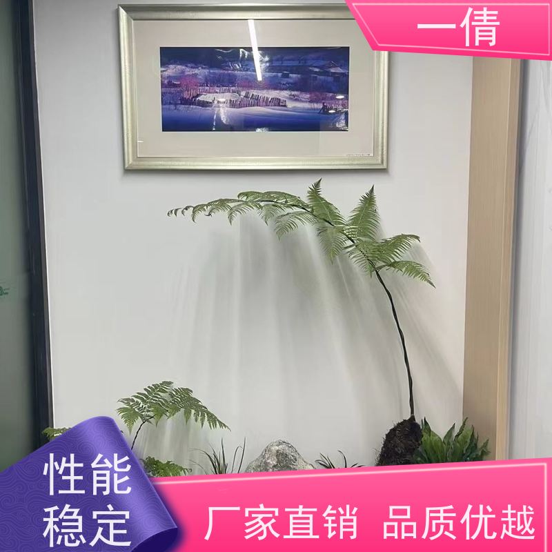一倩花卉 深圳 树厥 室内植物出租 全城配送 上门养护